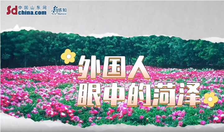 走进菏泽 来感受一下牡丹的魅力