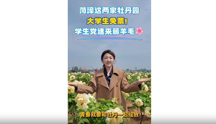 菏泽这两家牡丹园 大学生免票！学生党速来薅羊毛