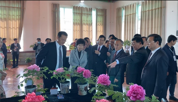 图片11.jpg