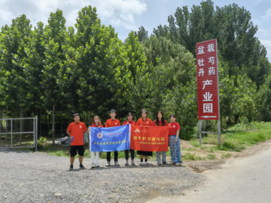 云图片