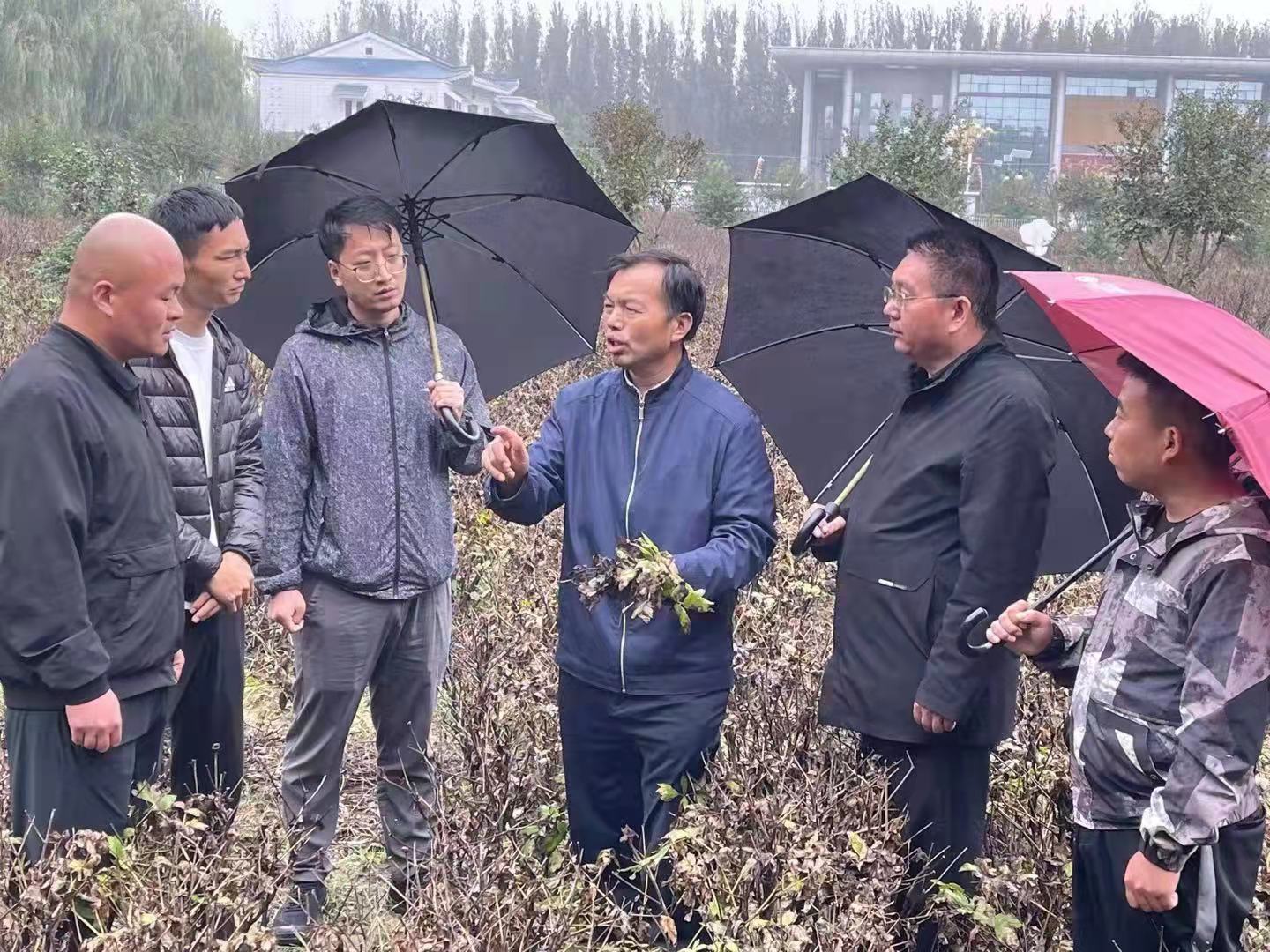 微信图片_20211008162529.jpg