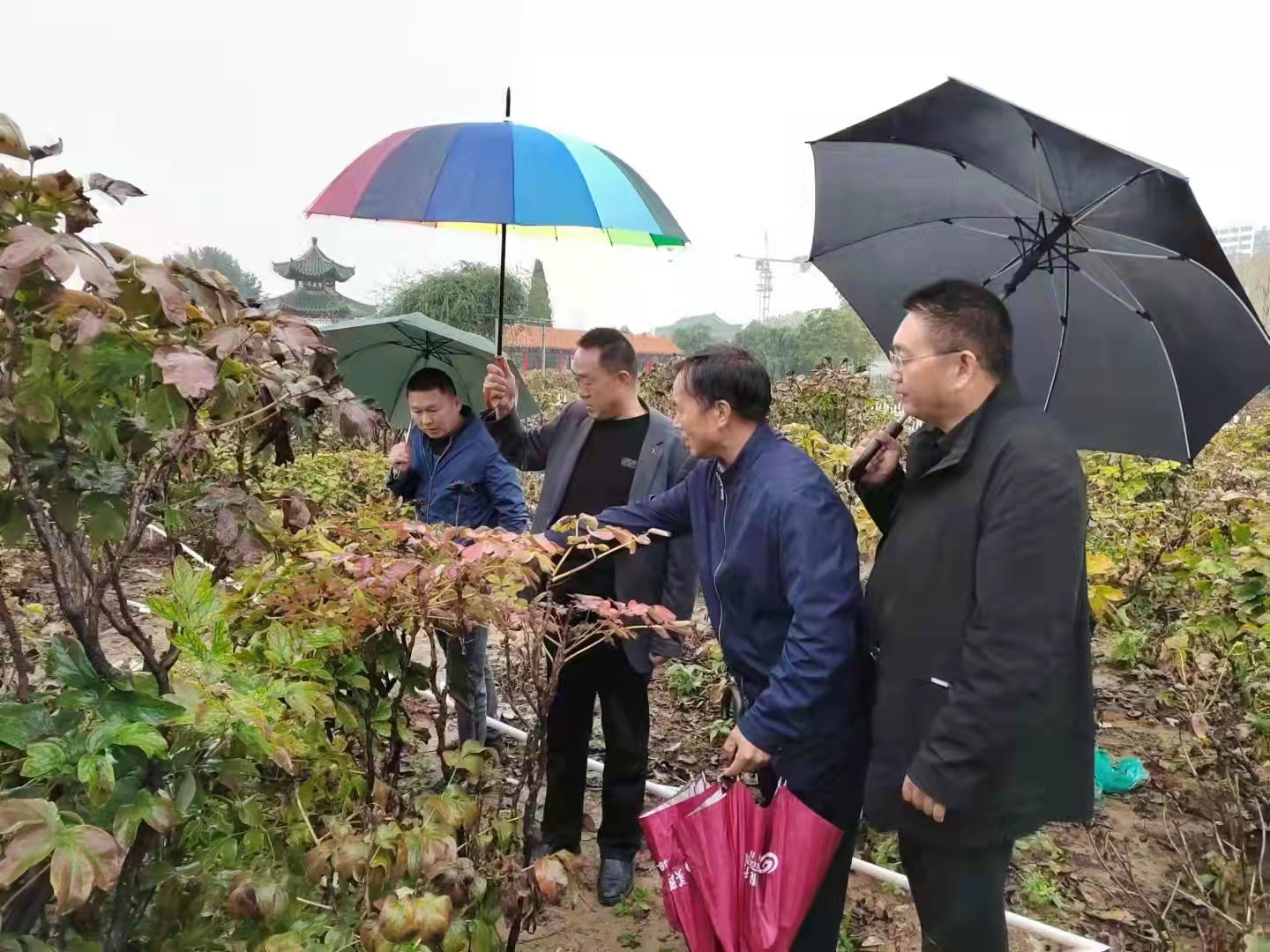 微信图片_20211008162533.jpg