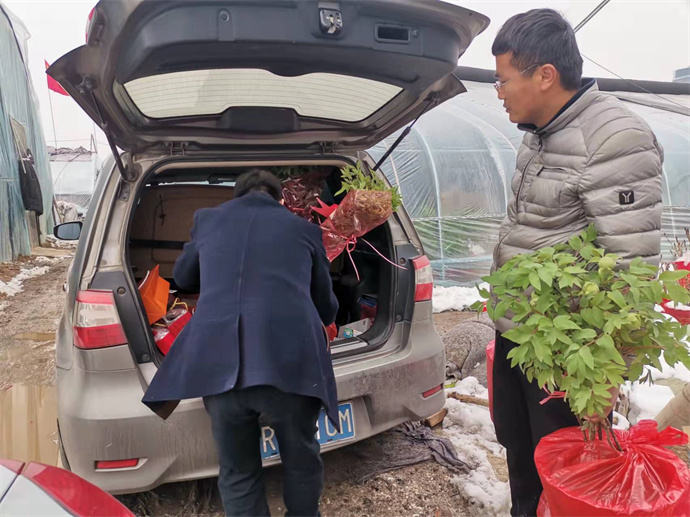 图片4.jpg